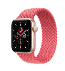 Apple Watch SE GPS 40mm Gold Aluminum Case with Pink Punch Braided Solo Loop (MYDY2)